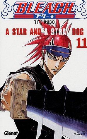 Bleach T11 - A star and a stray dog