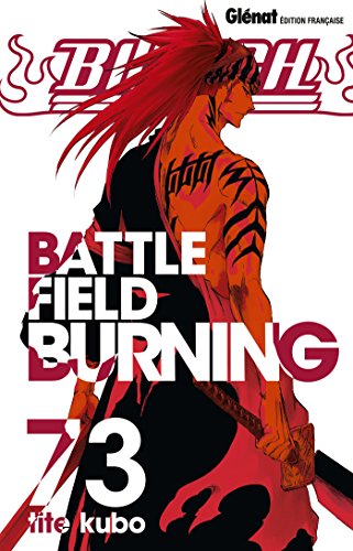 Bleach T73 - Battle field burning